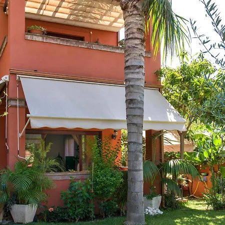 La Buganvilla Del Chaparral *