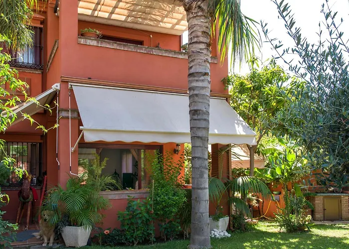 La Buganvilla Del Chaparral *